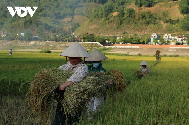 70 năm sau giải phóng, 